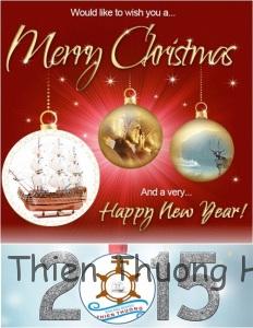 Merry Christmas & Happy Newyear